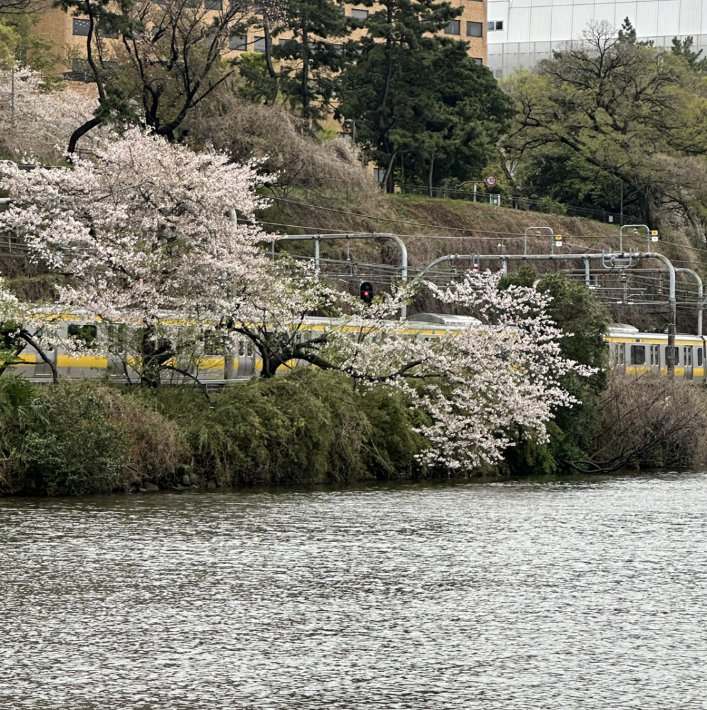 カナルカフェの「ペット同伴」完全攻略ガイド【愛犬家必見】
