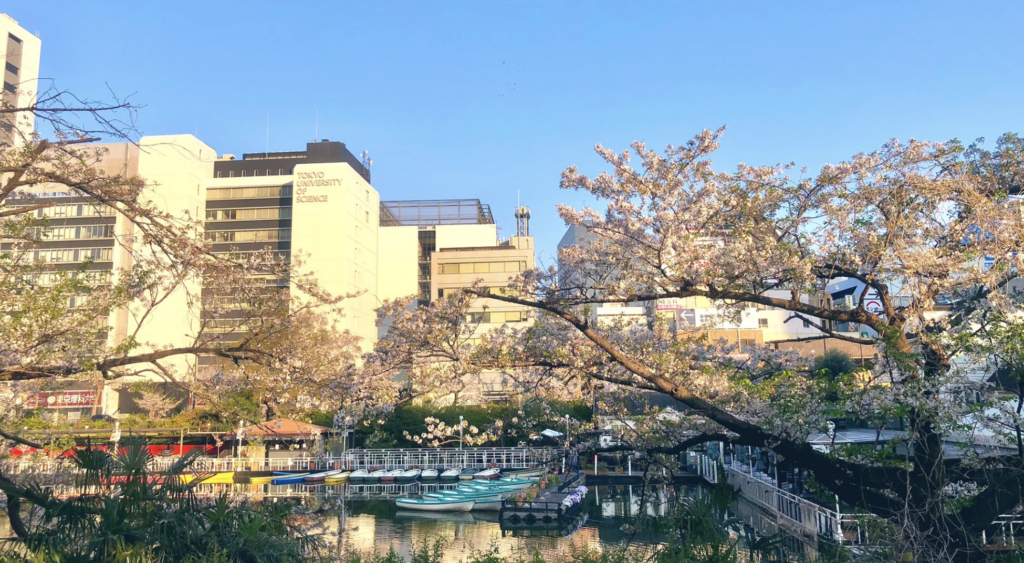 予約できない？カナルカフェの混雑回避と予約の裏ワザ