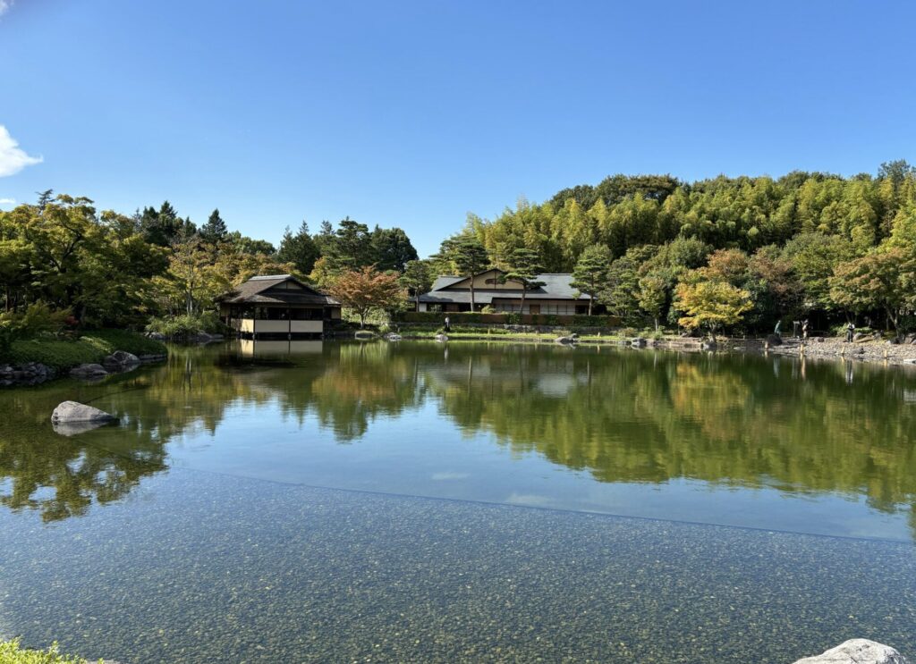 昭和記念公園ふわふわドームの年齢制限と利用ルール