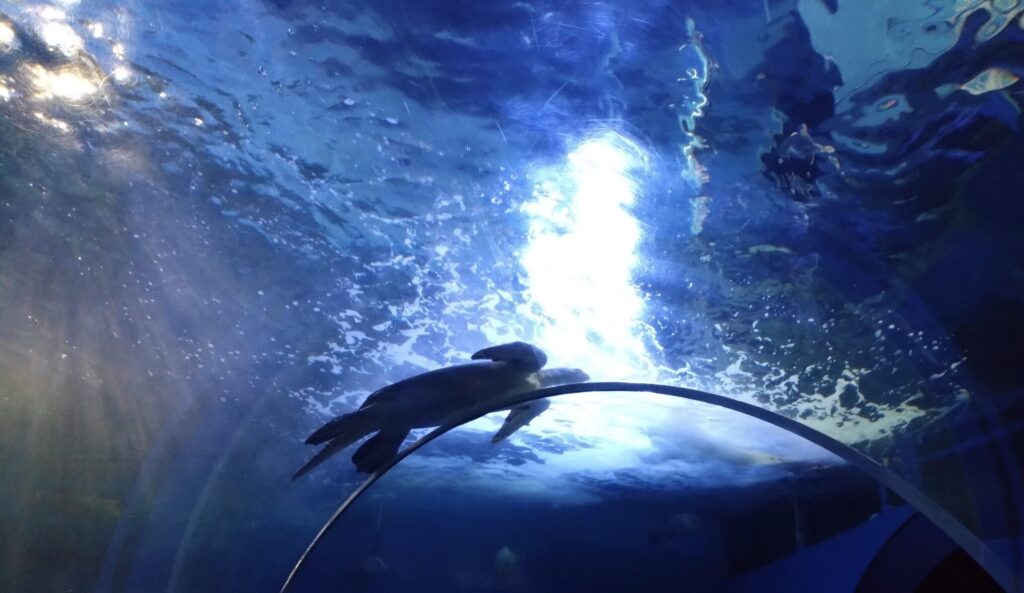 「しょぼい」と言われる3つの具体的な理由とは？