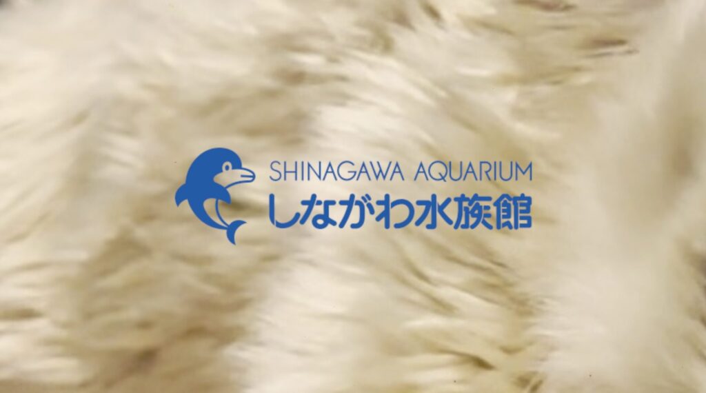 しながわ水族館は「閉館」するの？リニューアル情報を解説