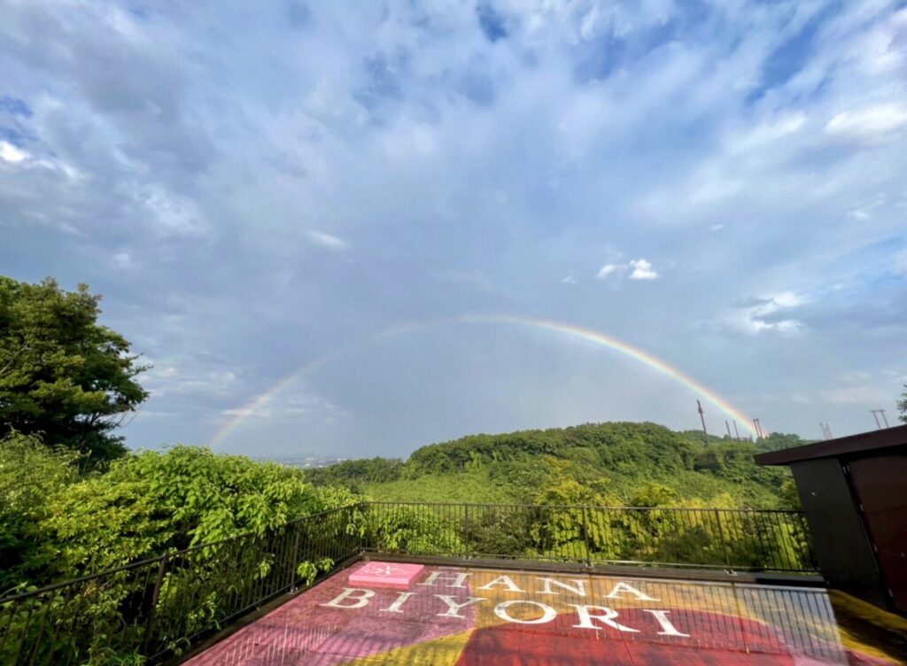 HANA・BIYORIの夜の楽しみ方【にじさんじコラボ開催中!】