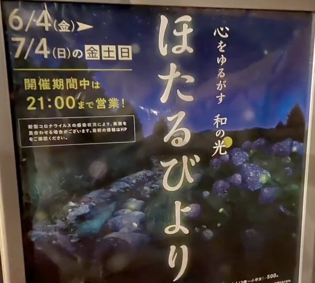 【口コミ】HANA・BIYORIで蛍を見た人のリアルな評判