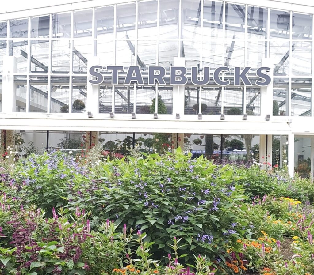 よみうりランドのスタバへ車で行く方必見！駐車場の完全ガイド