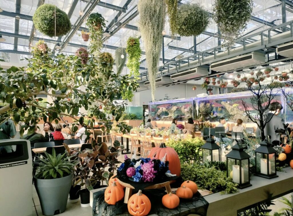 よみうりランド遊園地から「HANA・BIYORI店」のスタバへ行く方法