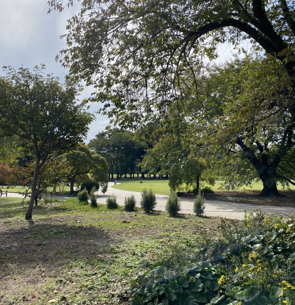 新宿御苑の秋バラを楽しんだ後は都内の別のお出かけスポットも!