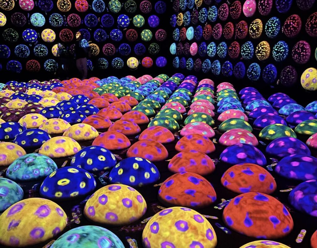 チームラボ豊洲と麻布台の違いが一目でわかる！7つの比較ポイント