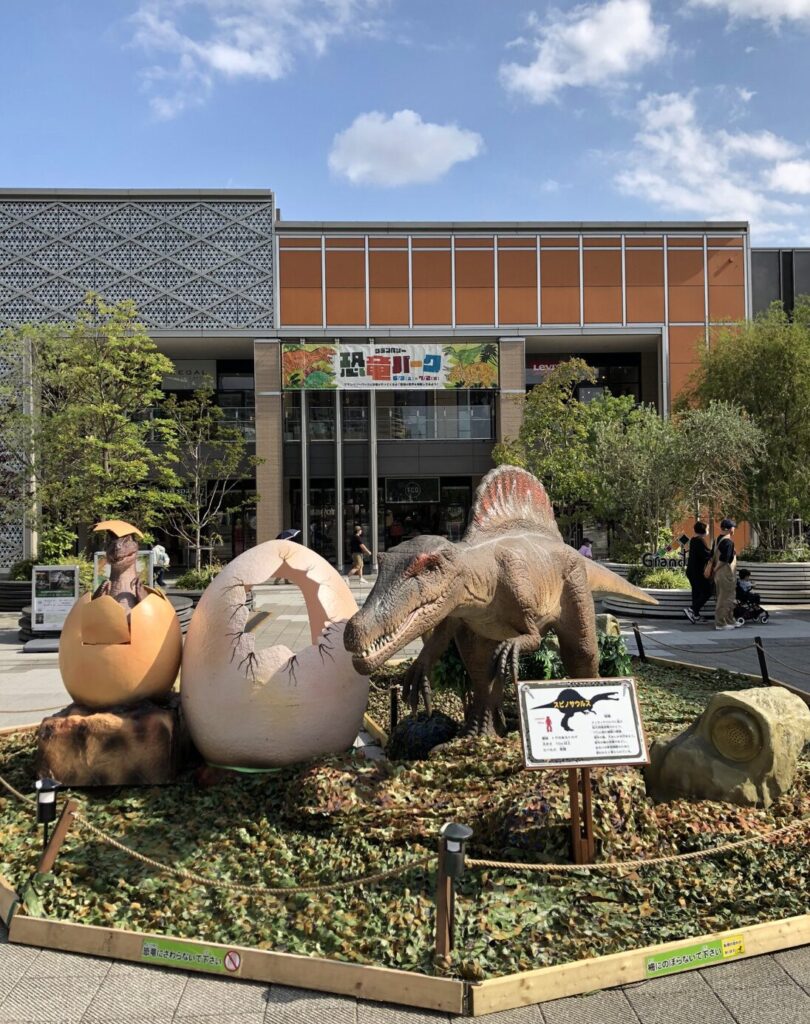 【2026年予想】次回の開催時期や内容は？過去の傾向から分析