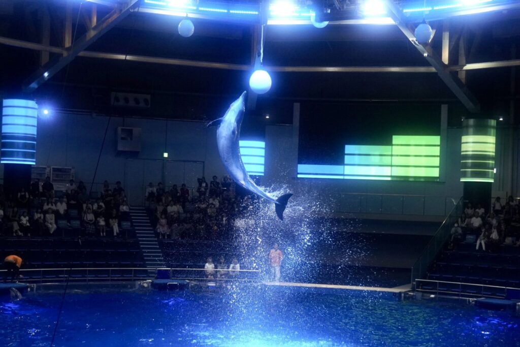 品川の水族館とアクアパーク、どっちが安い？料金と割引を比較