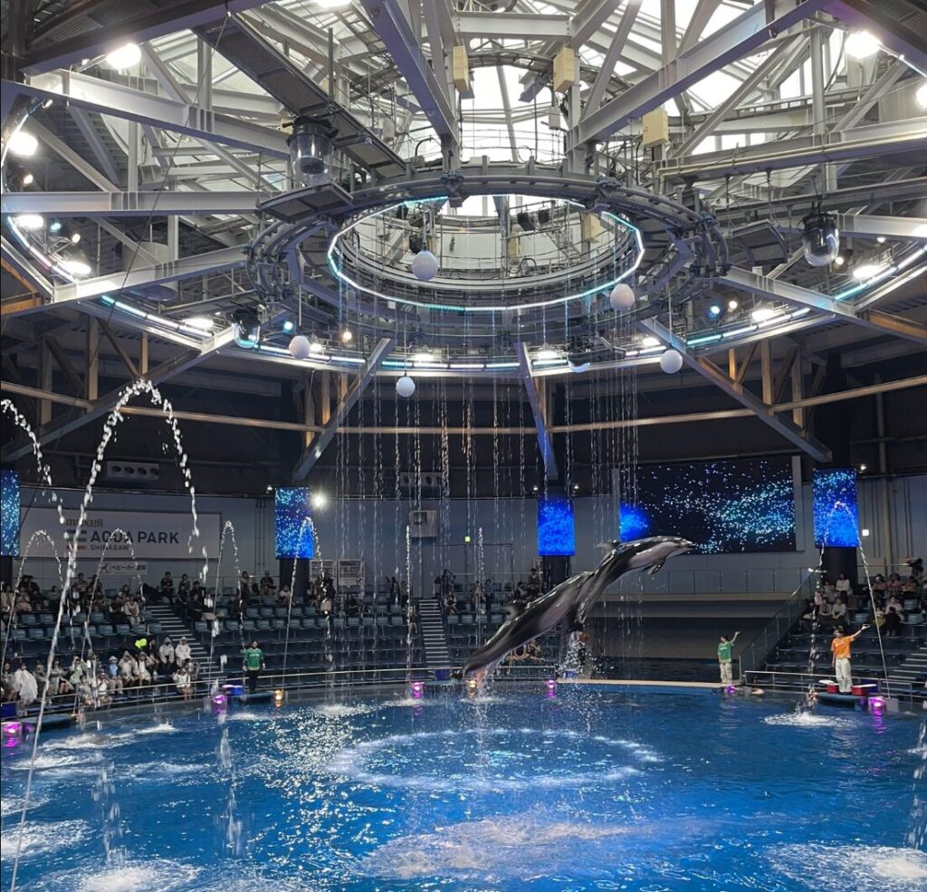 展示内容や広さで比べると、品川の水族館とアクアパークはどっちが上？