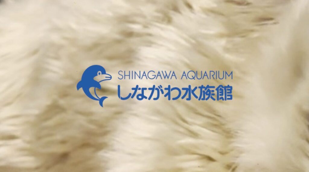 品川にある水族館とアクアパーク品川、結局どっちがいいの？
2つの違いを速攻チェック