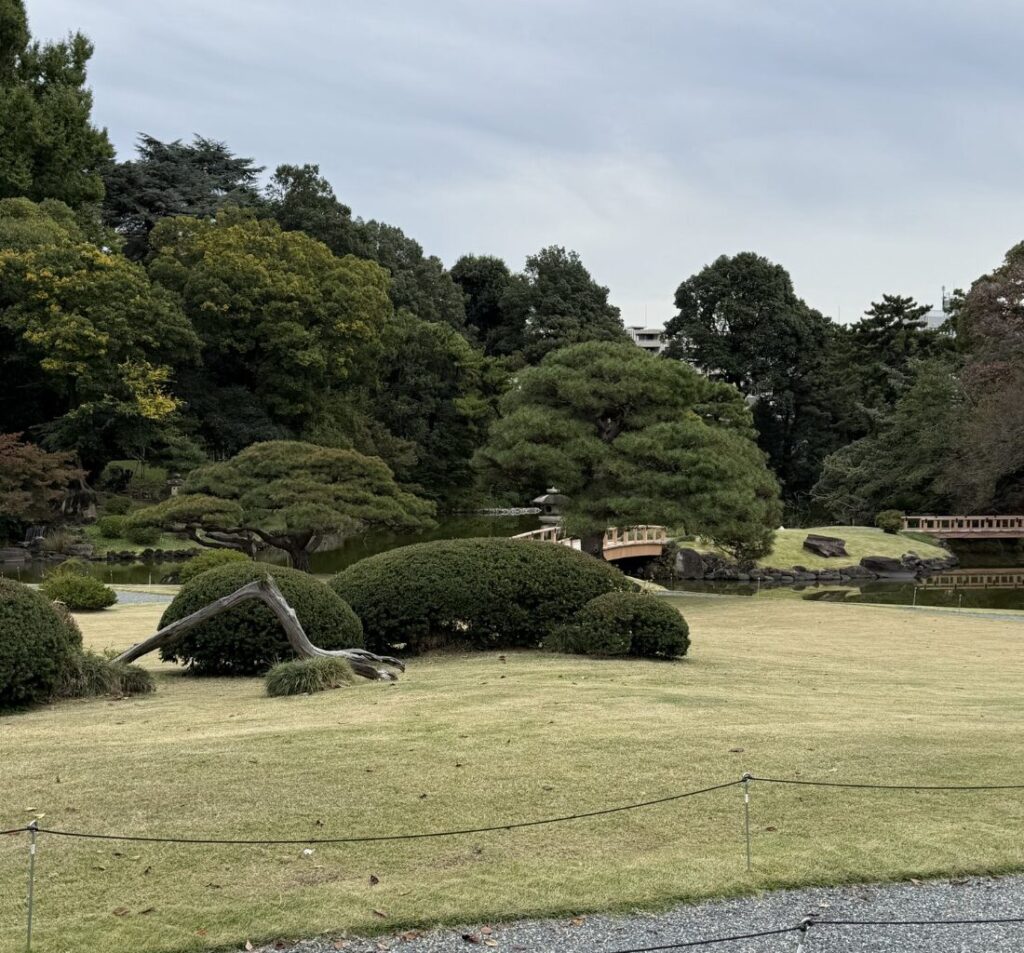 新宿御苑の心霊的な噂を上書きする季節の魅力