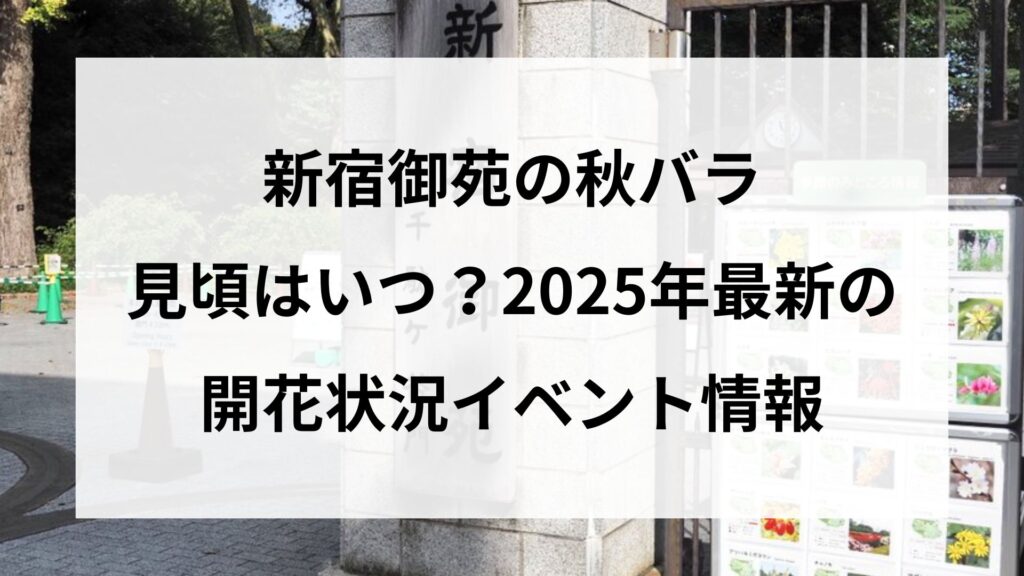 新宿御苑の秋バラはいつが見頃？2025年最新の開花状況とイベント情報