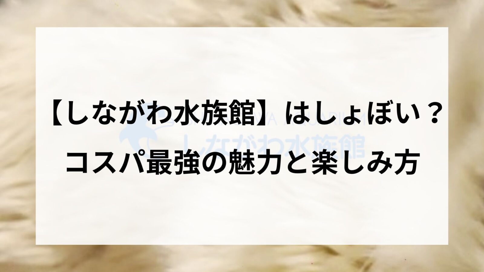 本当に【しながわ水族館】はしょぼい？コスパ最強の魅力と楽しみ方