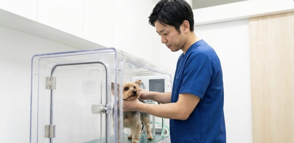 オーツーチャージ（O2 Pet）の口コミ・評判が「ない」驚きの理由