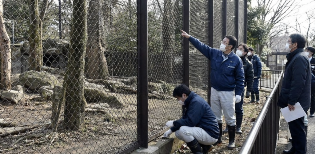 なぜ脱走した？原因と脱出ルートを徹底検証