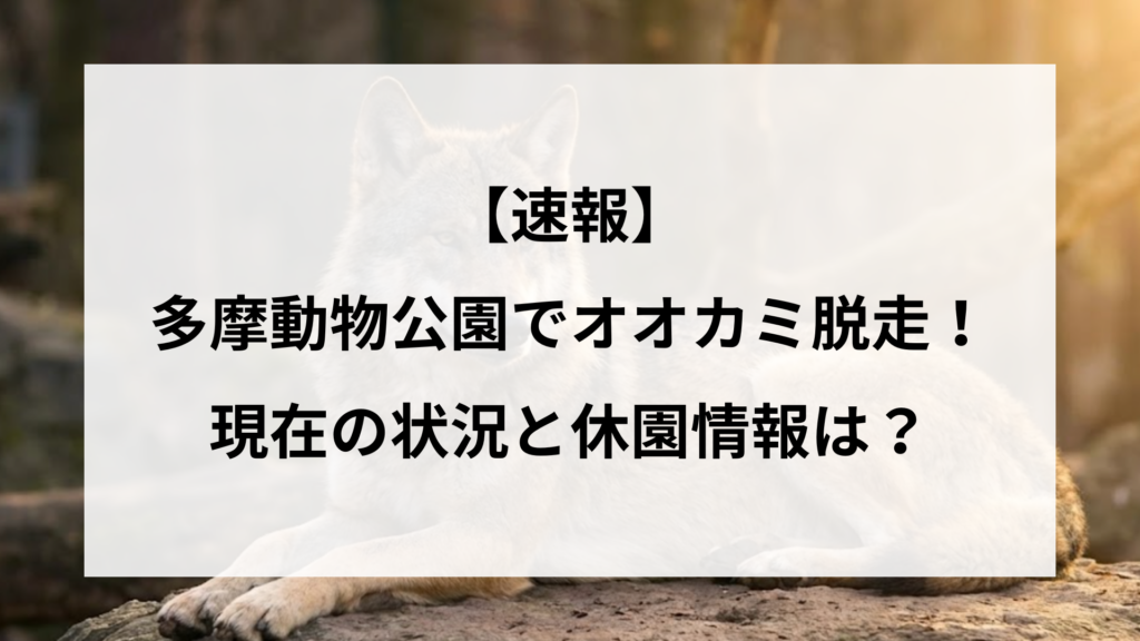【速報】多摩動物公園でオオカミ脱走！現在の状況と休園情報は？
