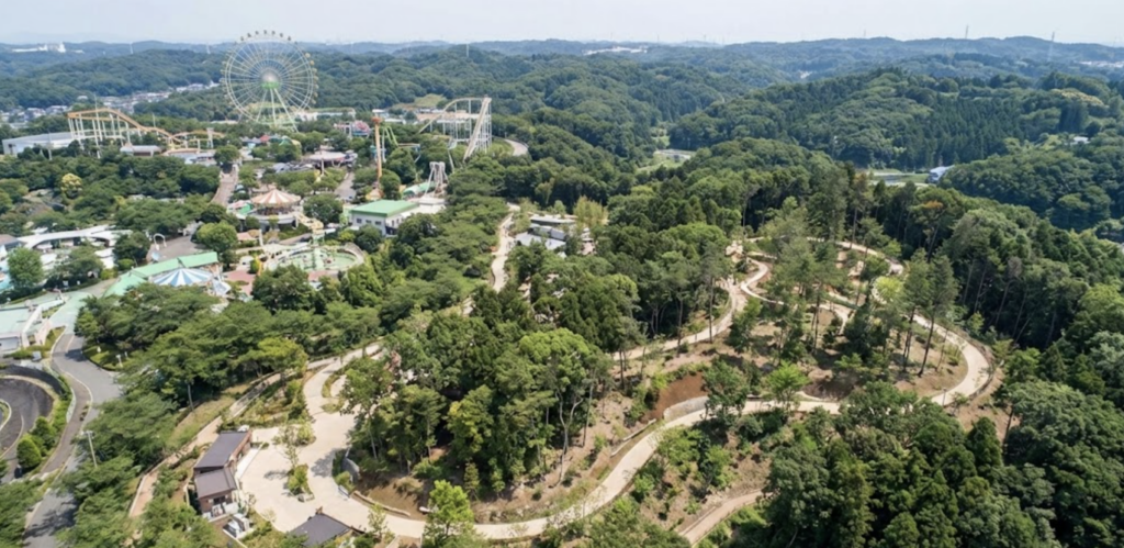 車で行くなら要注意！駐車場の混雑と「停められない」リスク