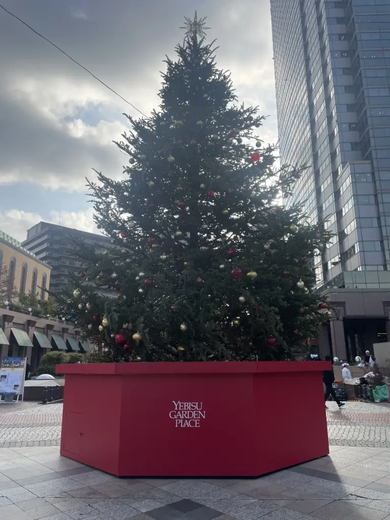 冬のデートなら絶対外せない！2025-2026イルミネーション攻略