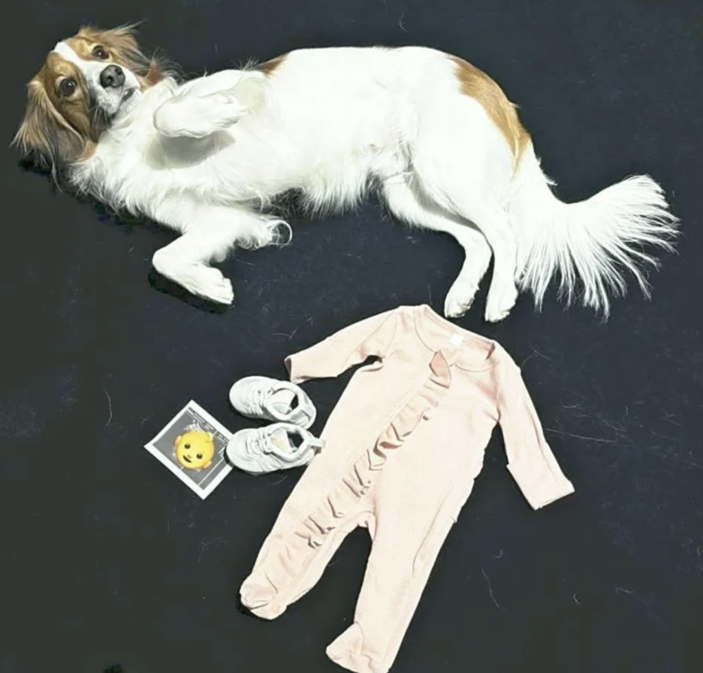 大谷翔平の子供の名前は？長女や真美子夫人・第二子の名付け予想