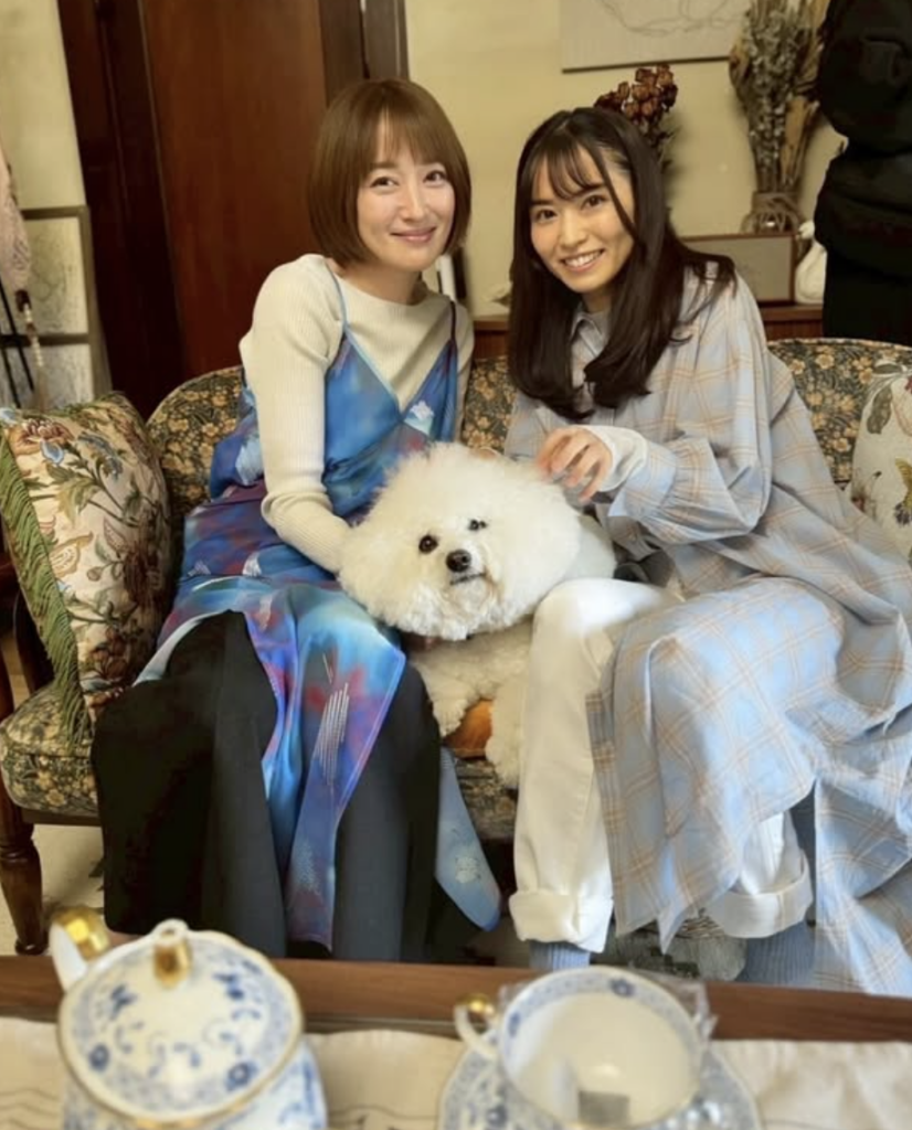 噂を検証！市川由衣と旦那に「離婚」「前妻」の事実はある？