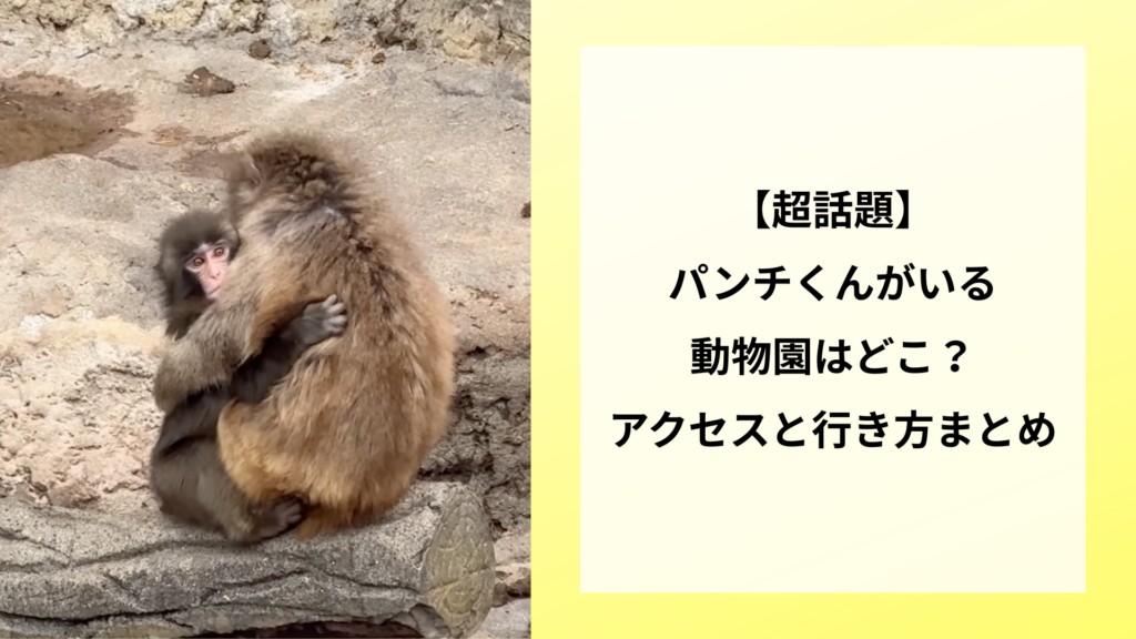 【超話題】パンチくんがいる動物園はどこ？アクセスと行き方まとめ