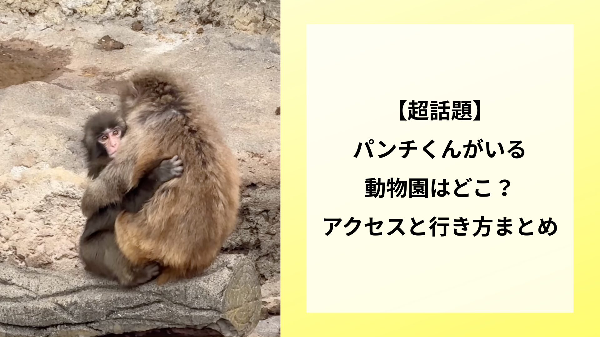 【超話題】パンチくんがいる動物園はどこ？アクセスと行き方まとめ
