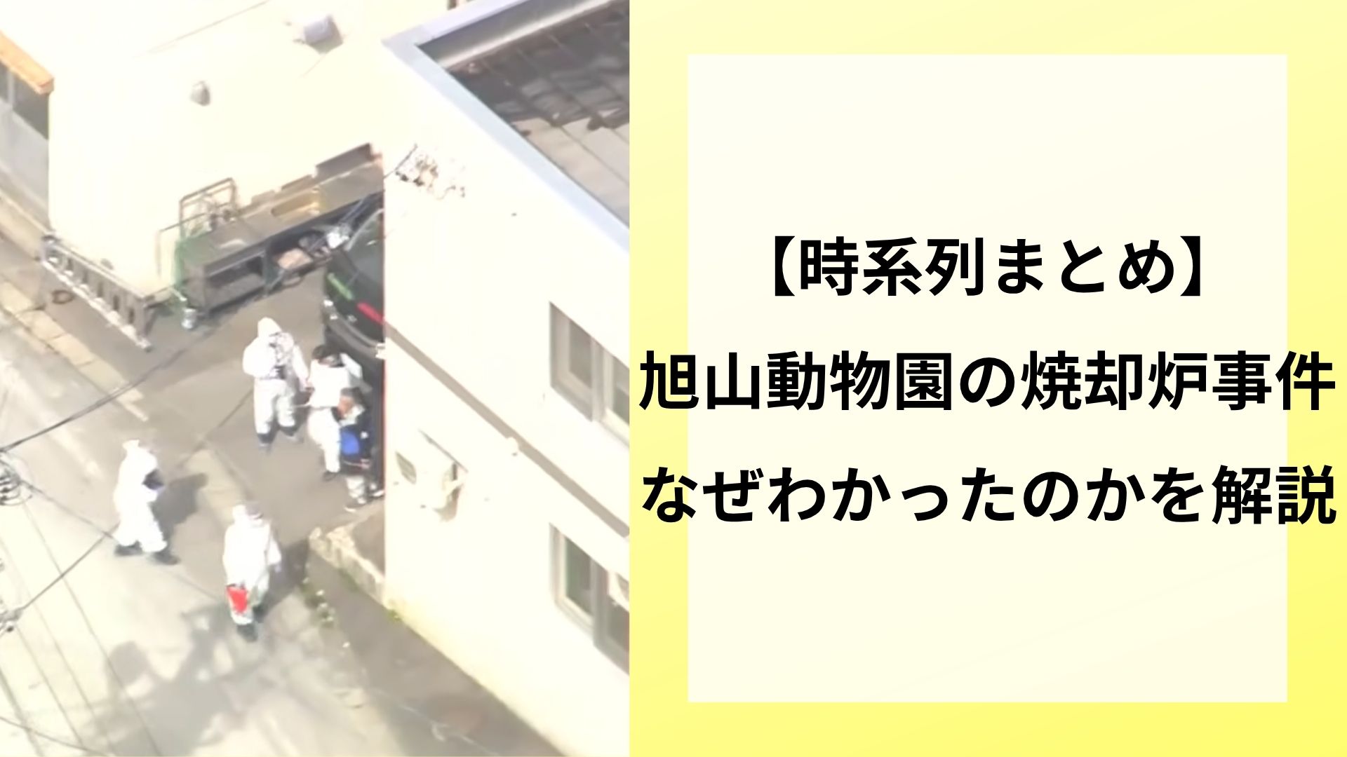 【時系列まとめ】旭山動物園の焼却炉事件はなぜわかったのかを解説