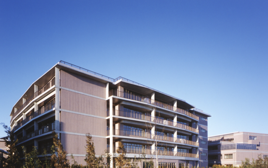 市川学園高校説はどこまで本当?事実・噂・未確認情報を整理