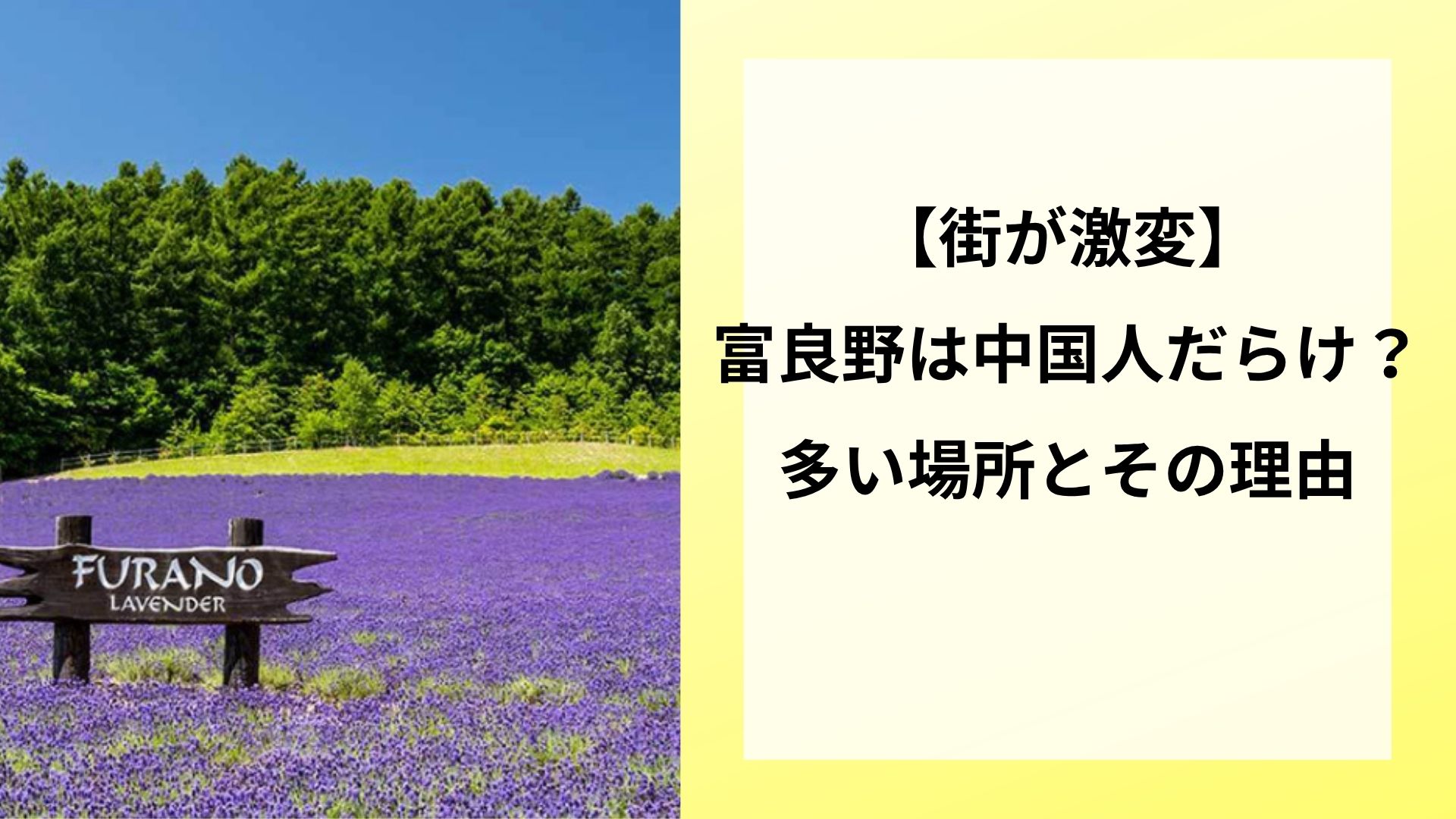 【街が激変】富良野は中国人だらけ？多い場所とその理由